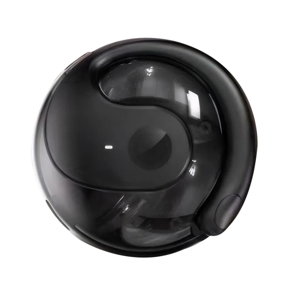 Intelligent Real-time Translation Earbuds