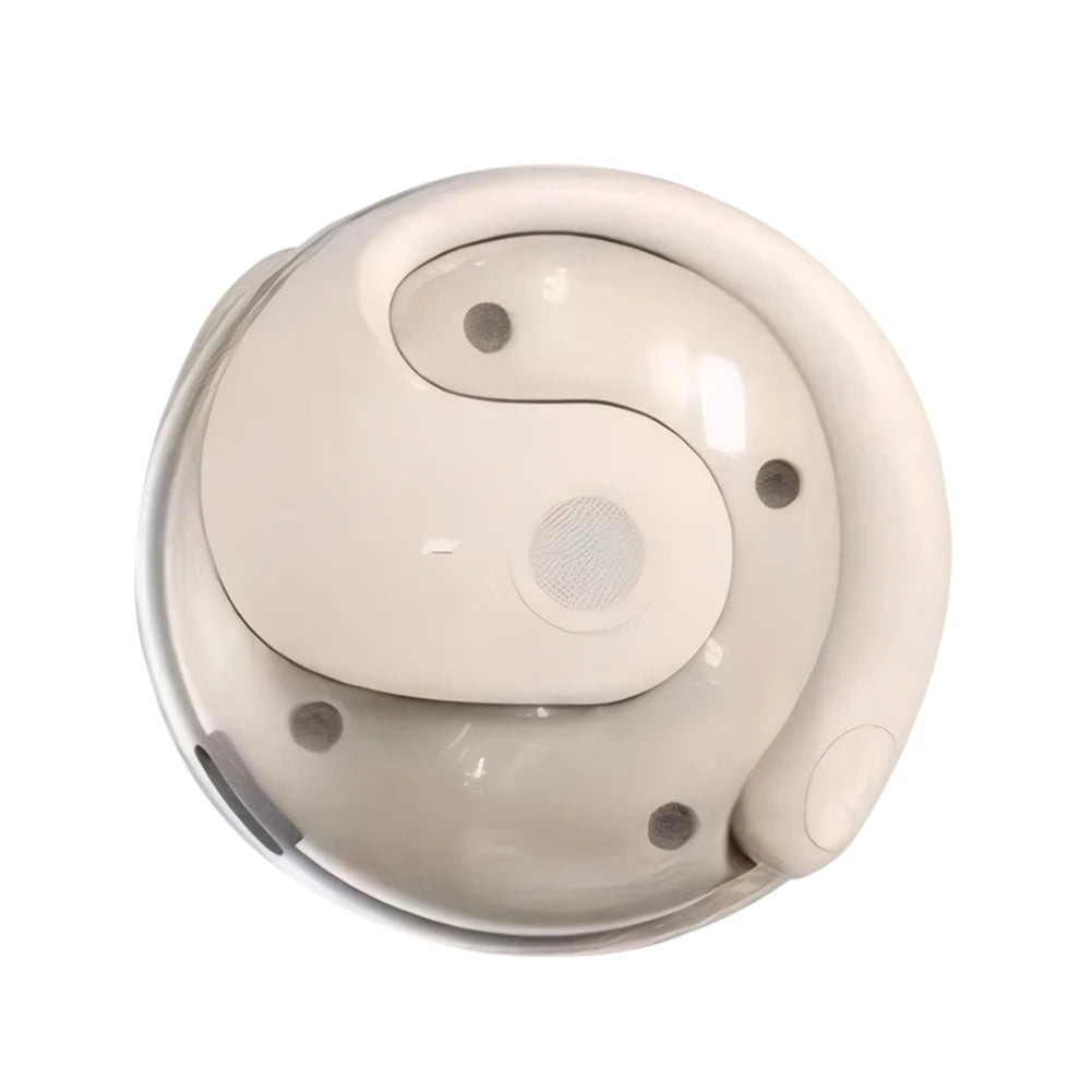 Intelligent Real-time Translation Earbuds